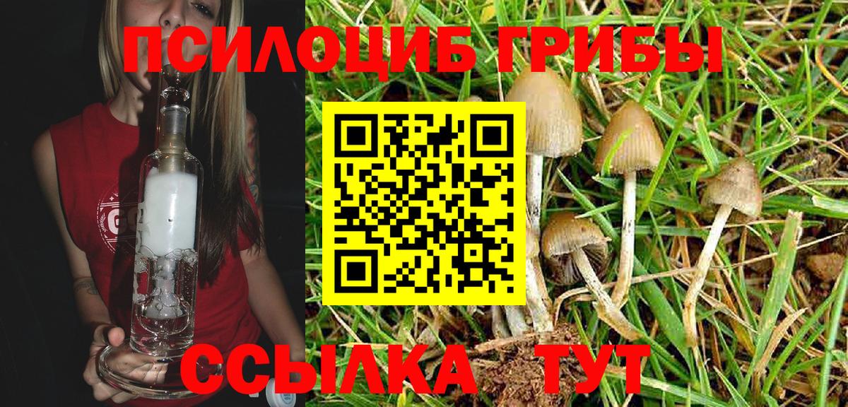 Псилоцибиновые грибы MAGIC MUSHROOMS  Вход с VPN  Бутурлиновка 